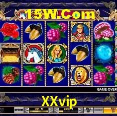 XXvip Salvador - Statistics